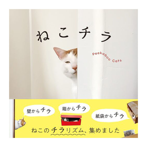 【猫の写真集】ねこチラ